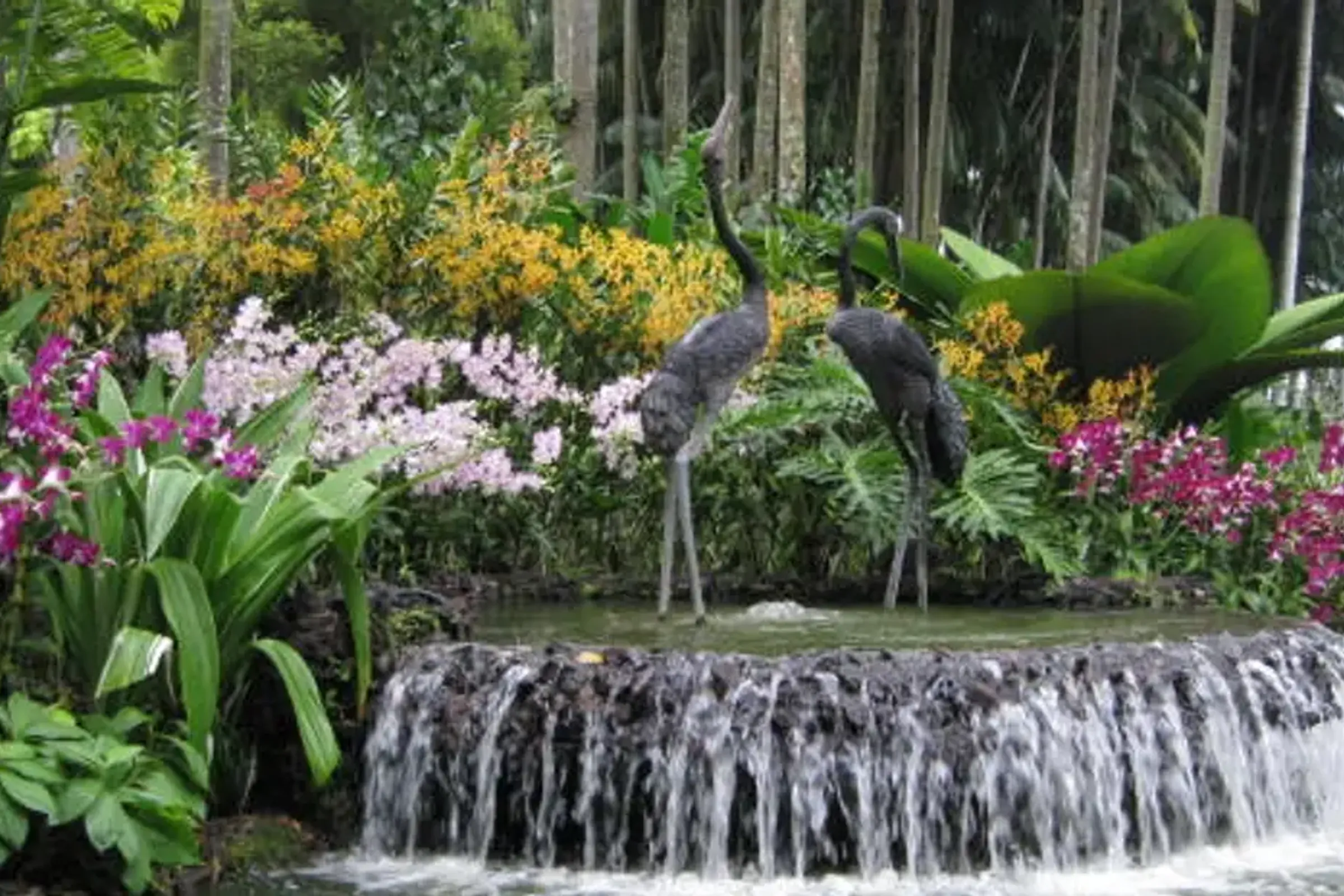 National Orchid Garden Admission Ticket — photo 3